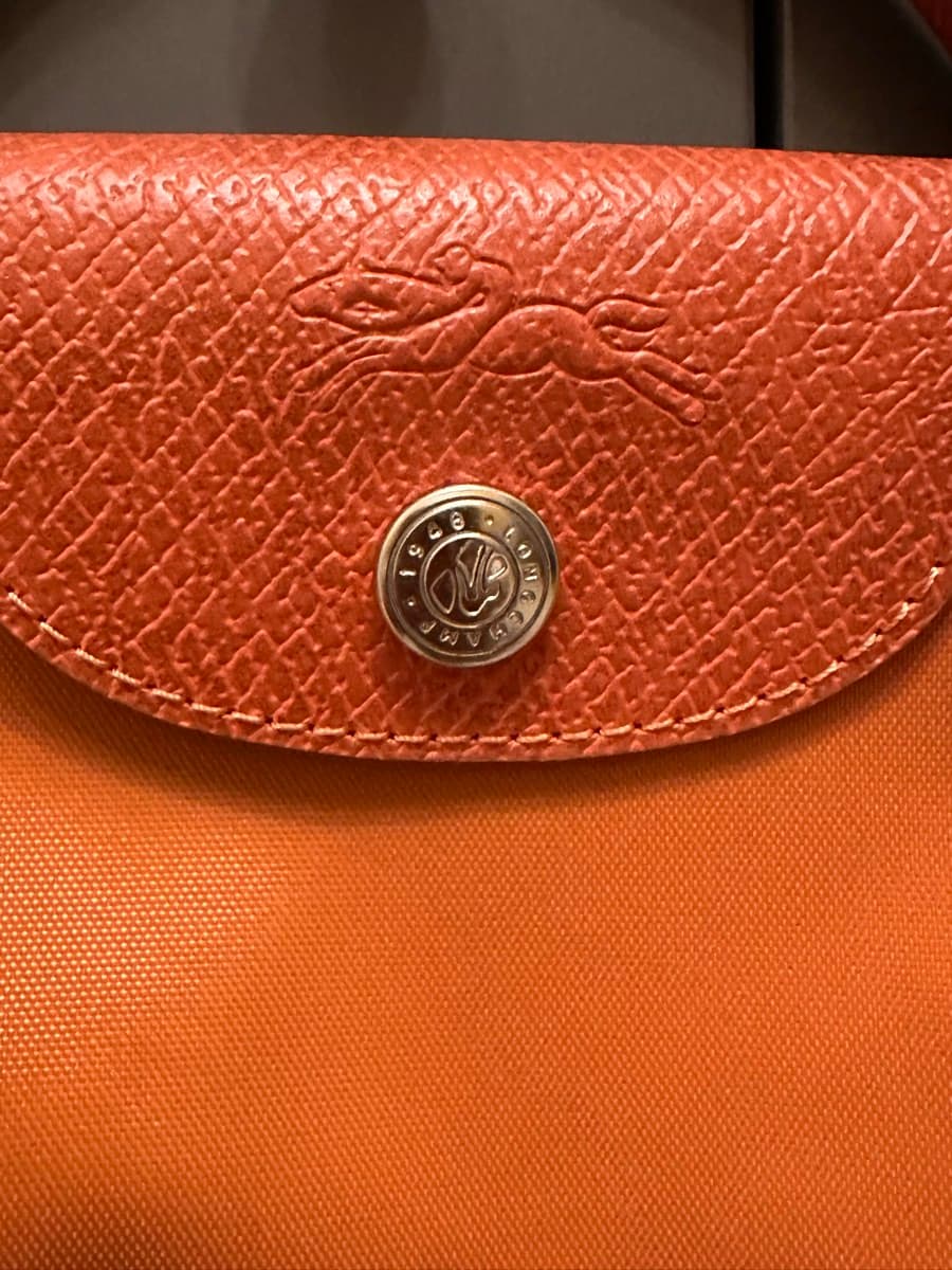 Longchamp-like Orange Le Pliage Pouch (not original) thumbnail 2