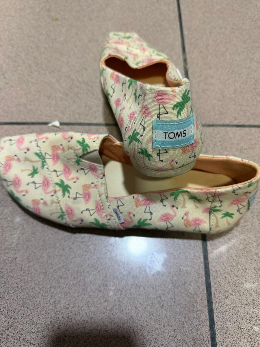 TOMS Flamingo Print Alpargatas