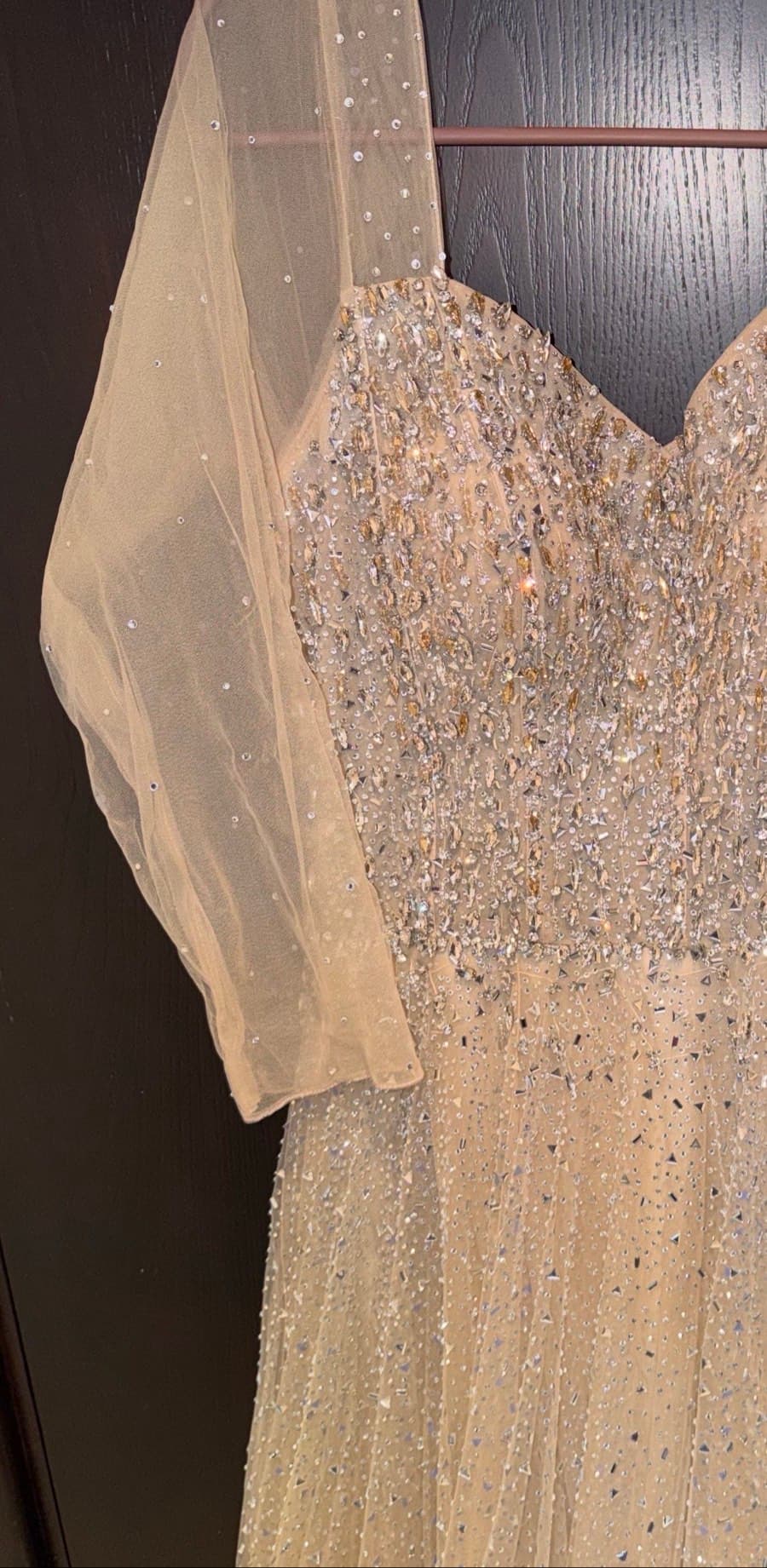 Embellished Tulle Gown thumbnail 8