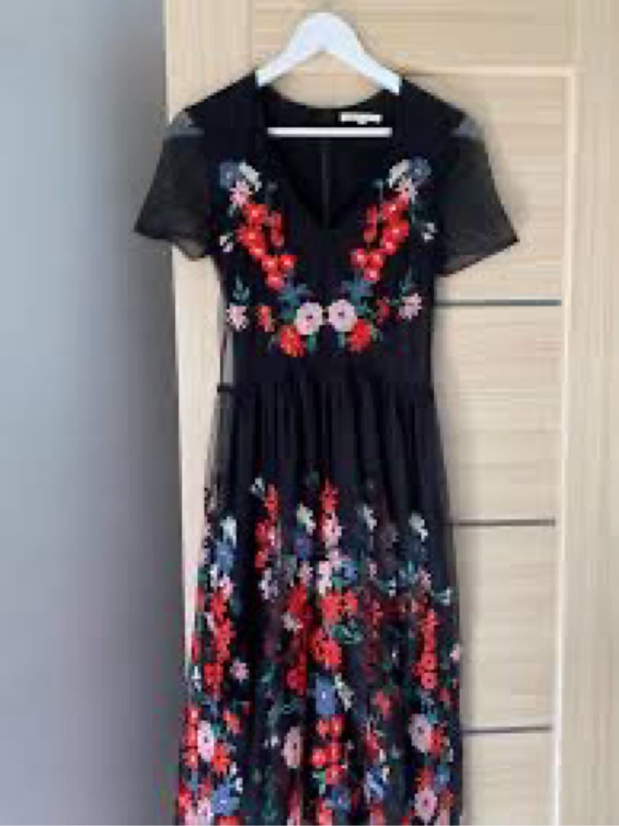 Embroidered Floral Mesh Dress thumbnail 2