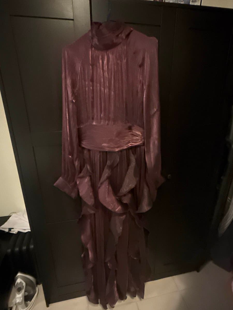 Plum Pleated Maxi Dress thumbnail 2