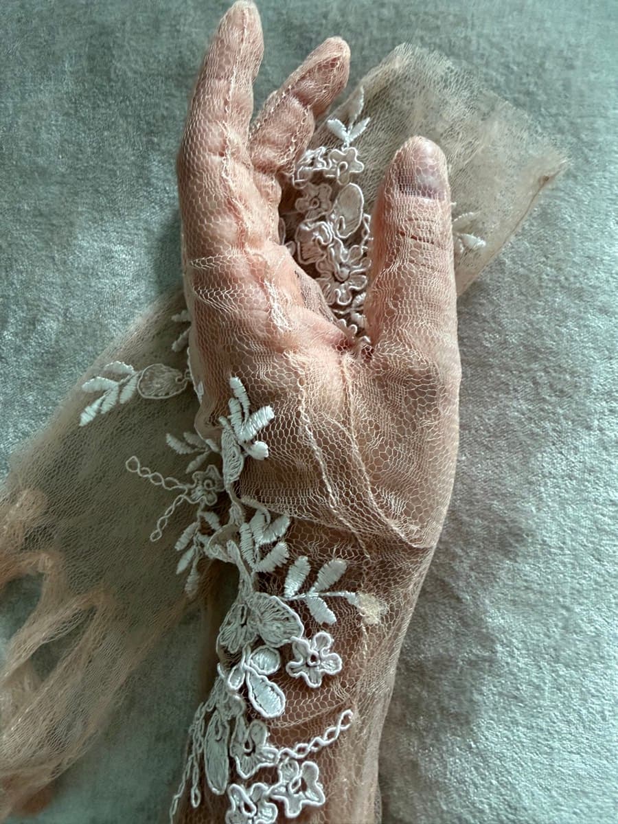 Semi-Sheer Embroidered Gloves thumbnail 6