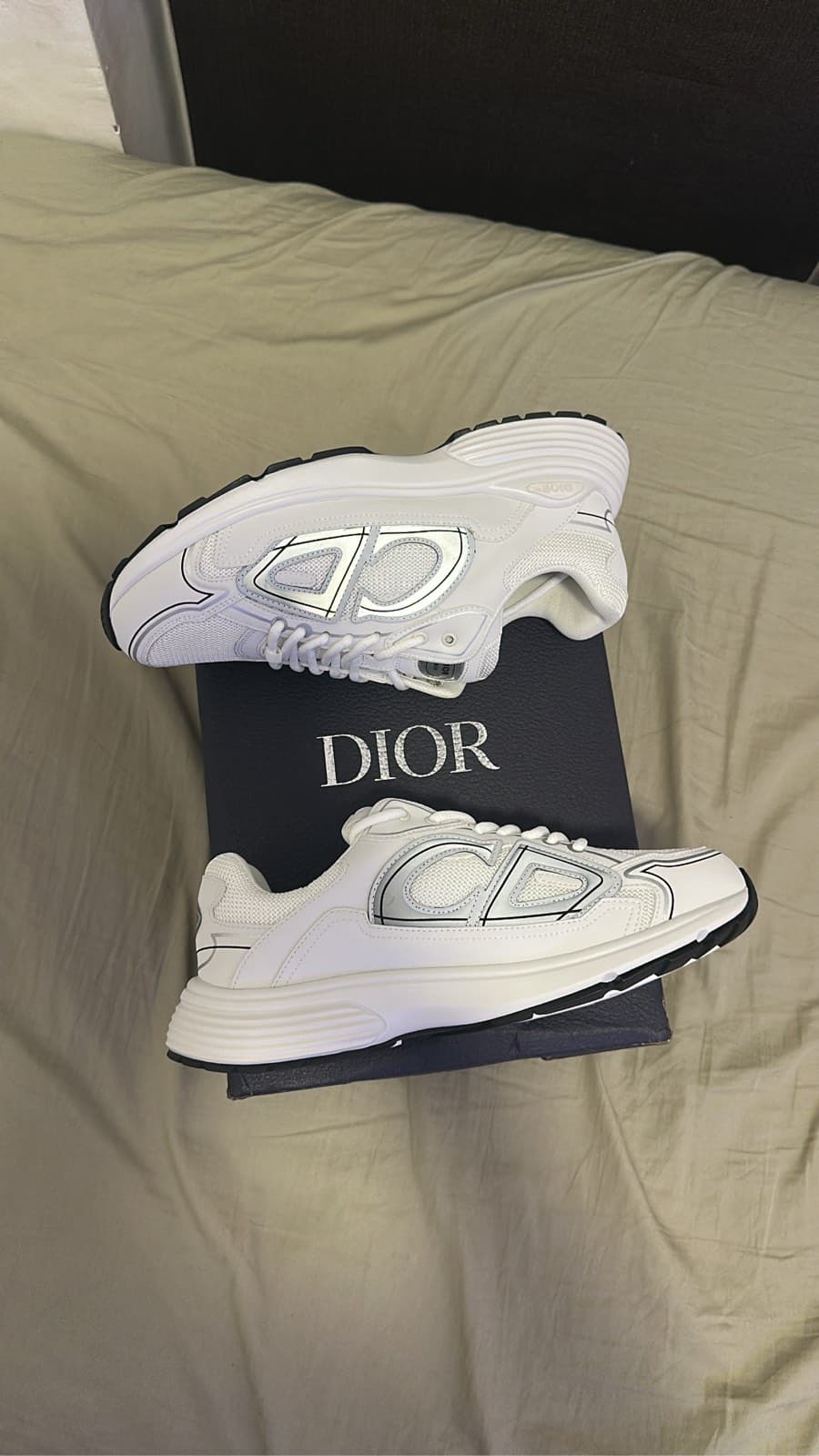 Dior B30 White Sneakers