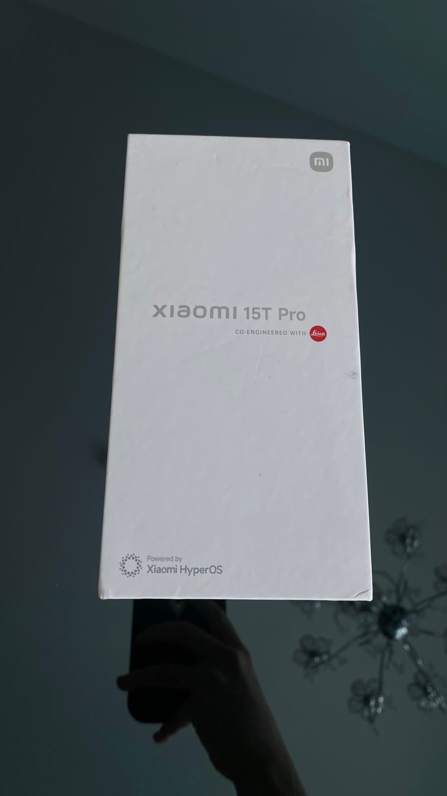Xiaomi 15T Pro phone