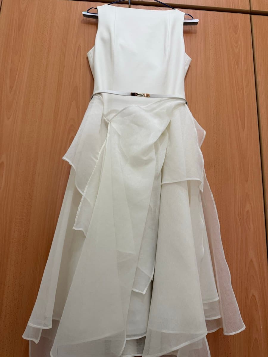 Cream Layered Organza Dress thumbnail 7
