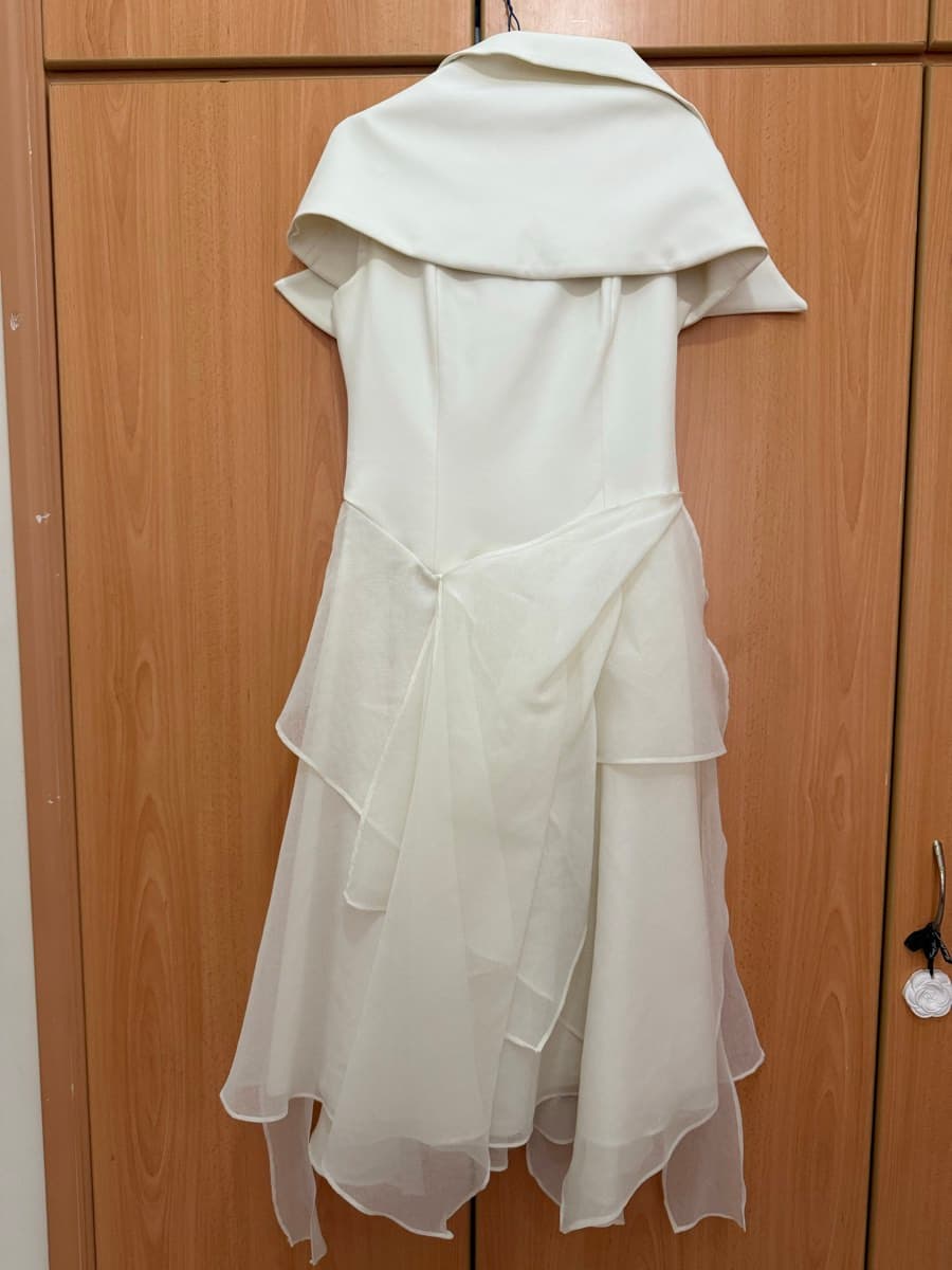 Cream Layered Organza Dress thumbnail 5