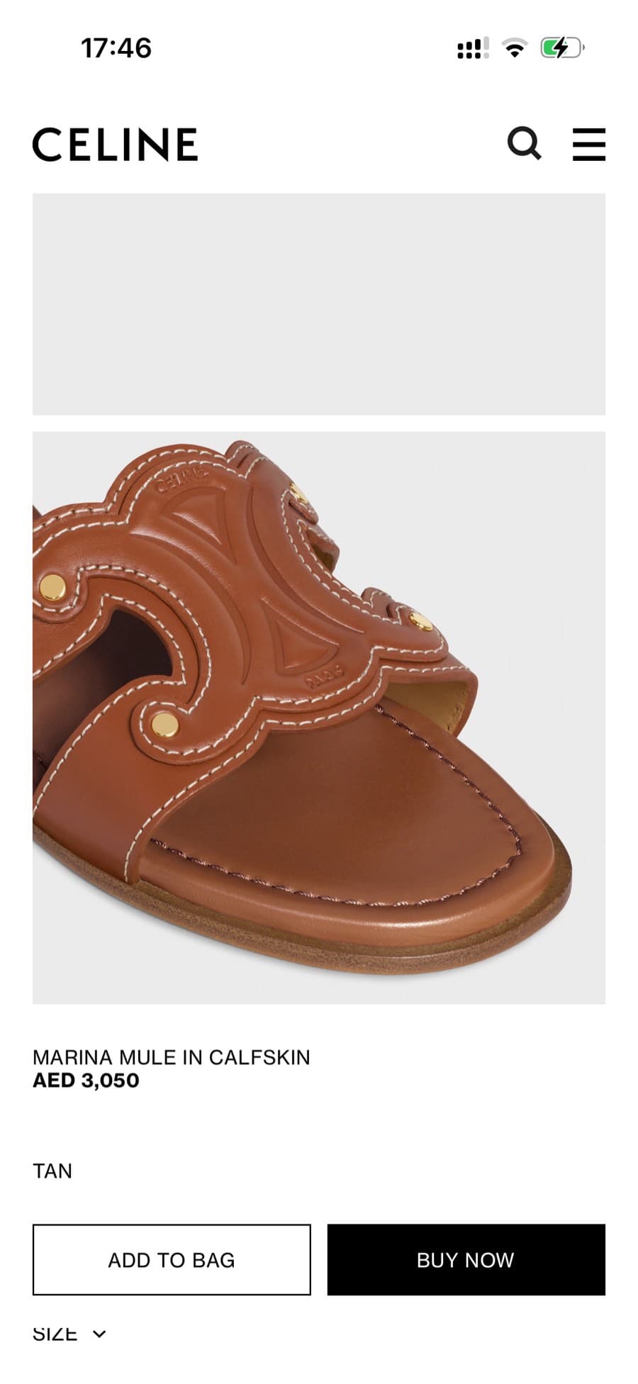 Celine Triomphe Leather Slides thumbnail 3