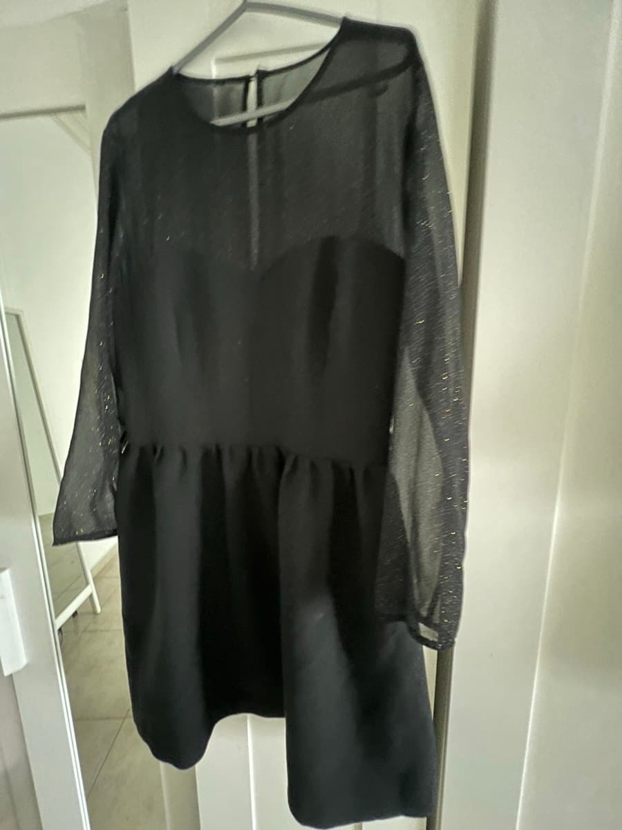 Black Sheer Sleeve Dress