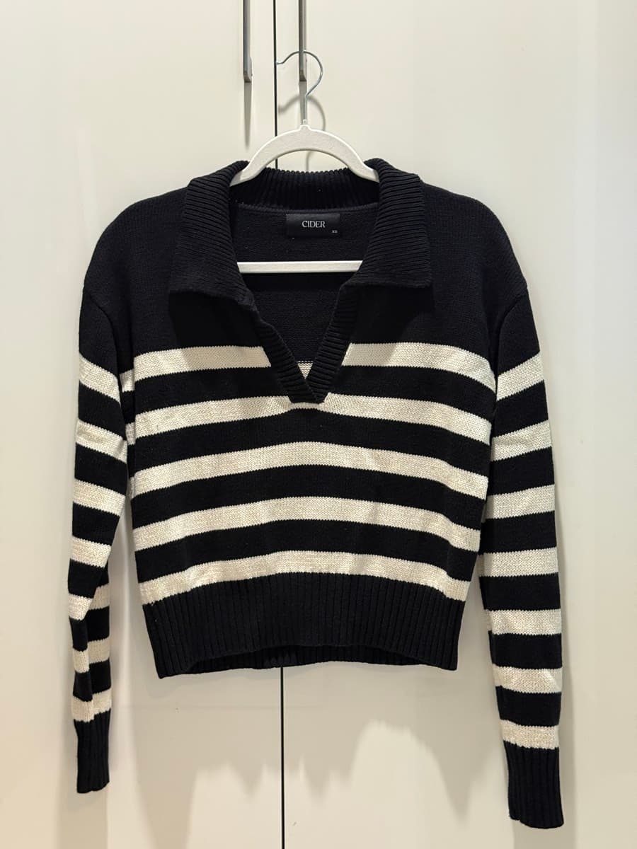 Cider Striped Collared Sweater