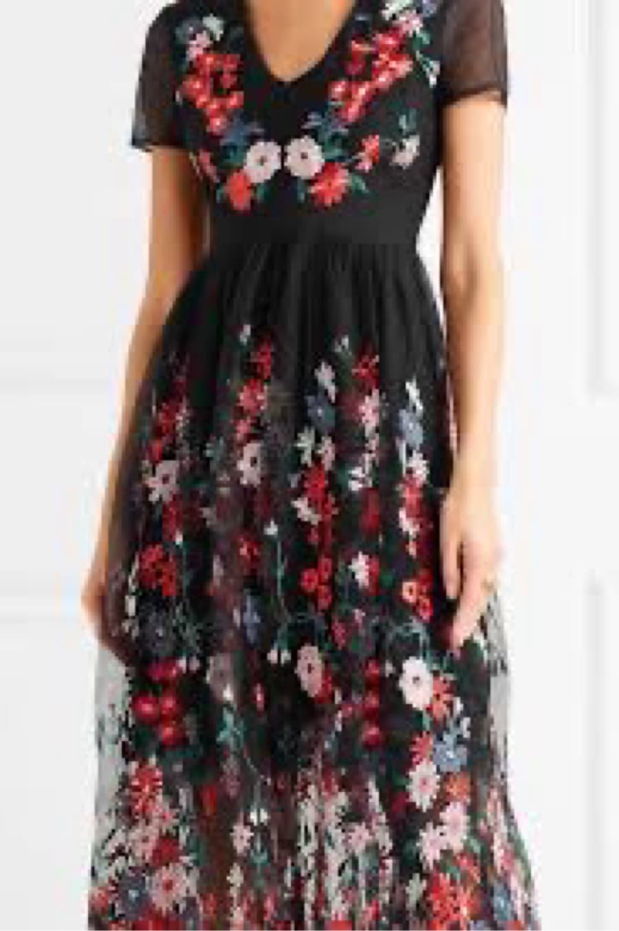 Embroidered Floral Mesh Dress - image 1