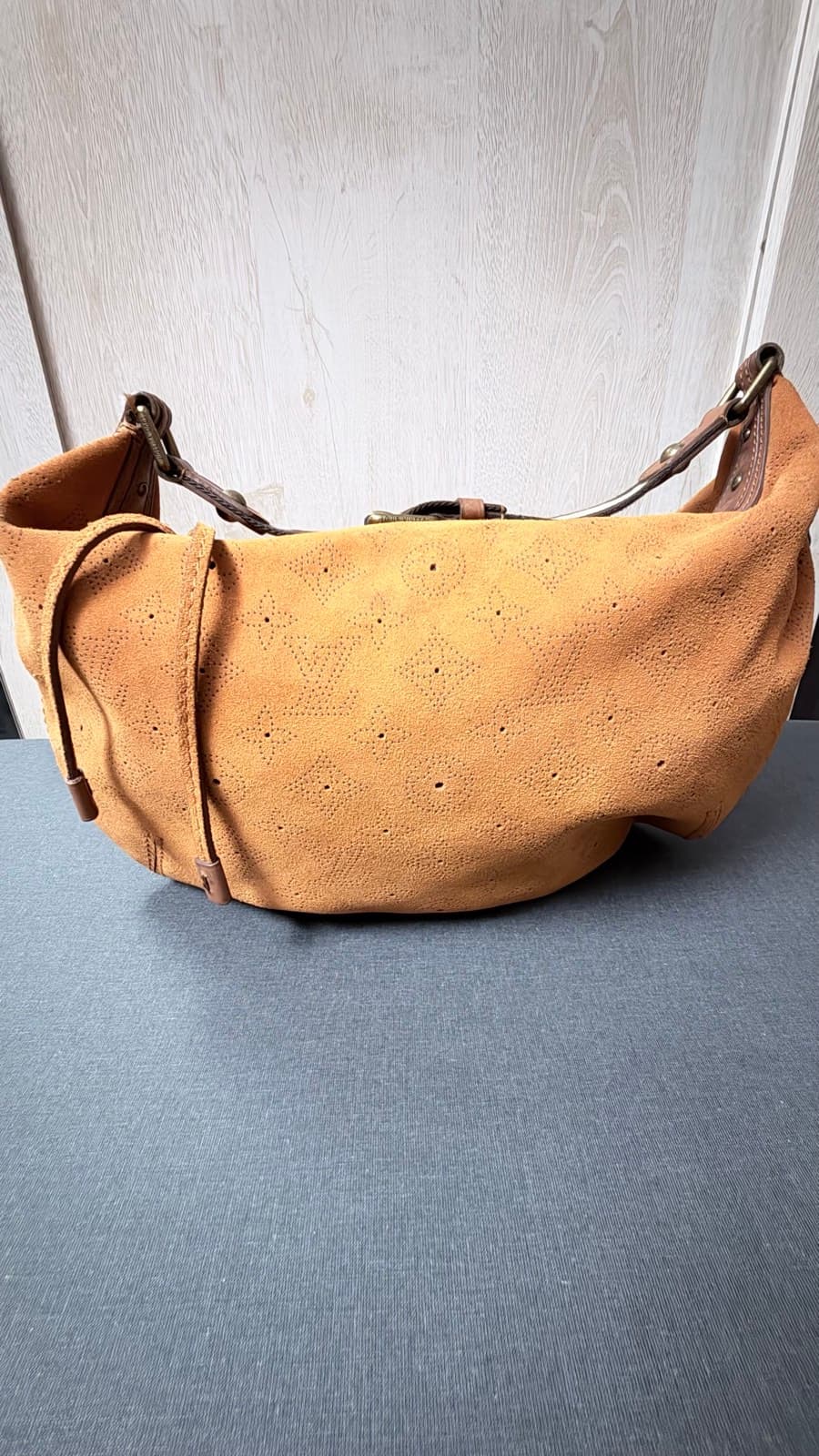 Louis Vuitton Suede Hobo Bag - image 1